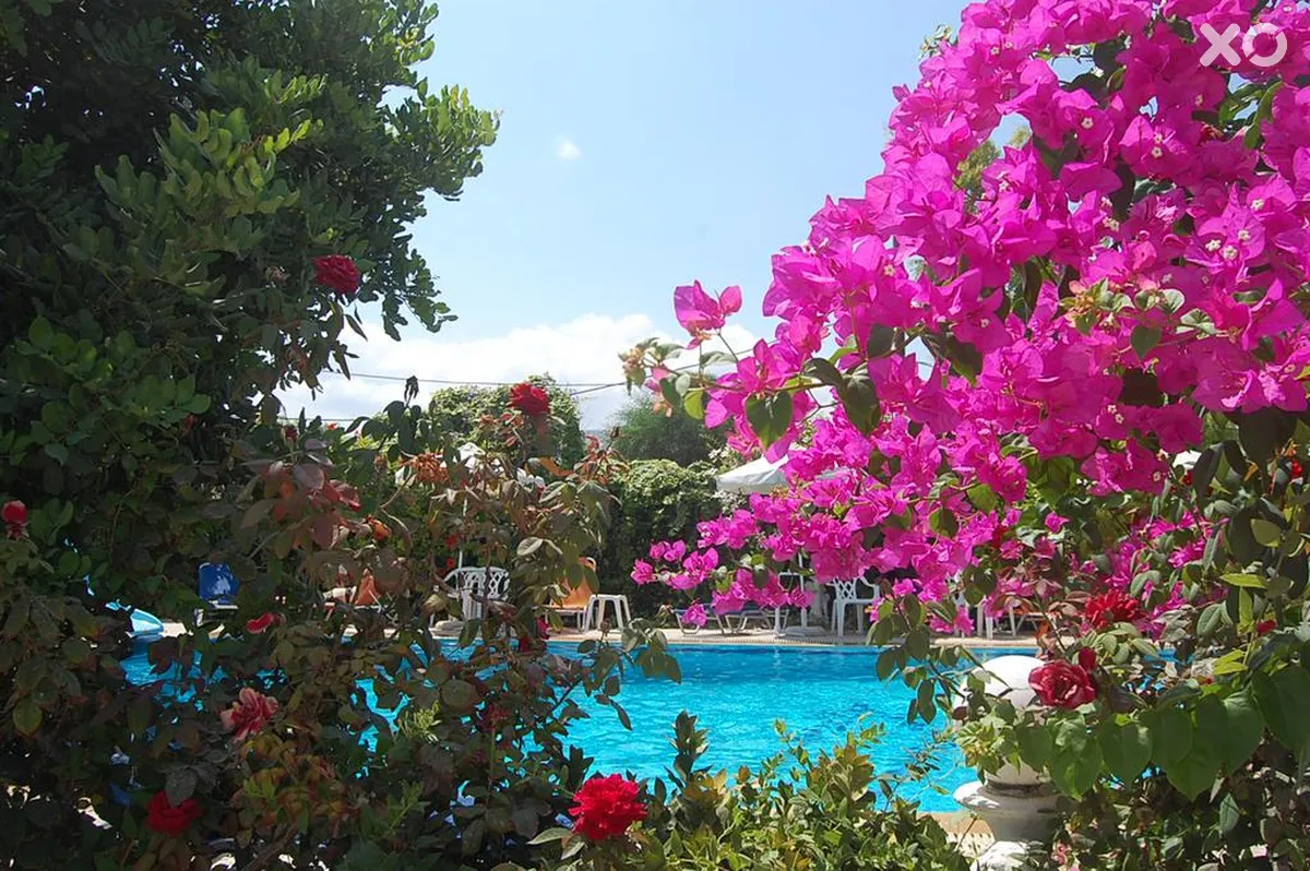 Violetta Hotel