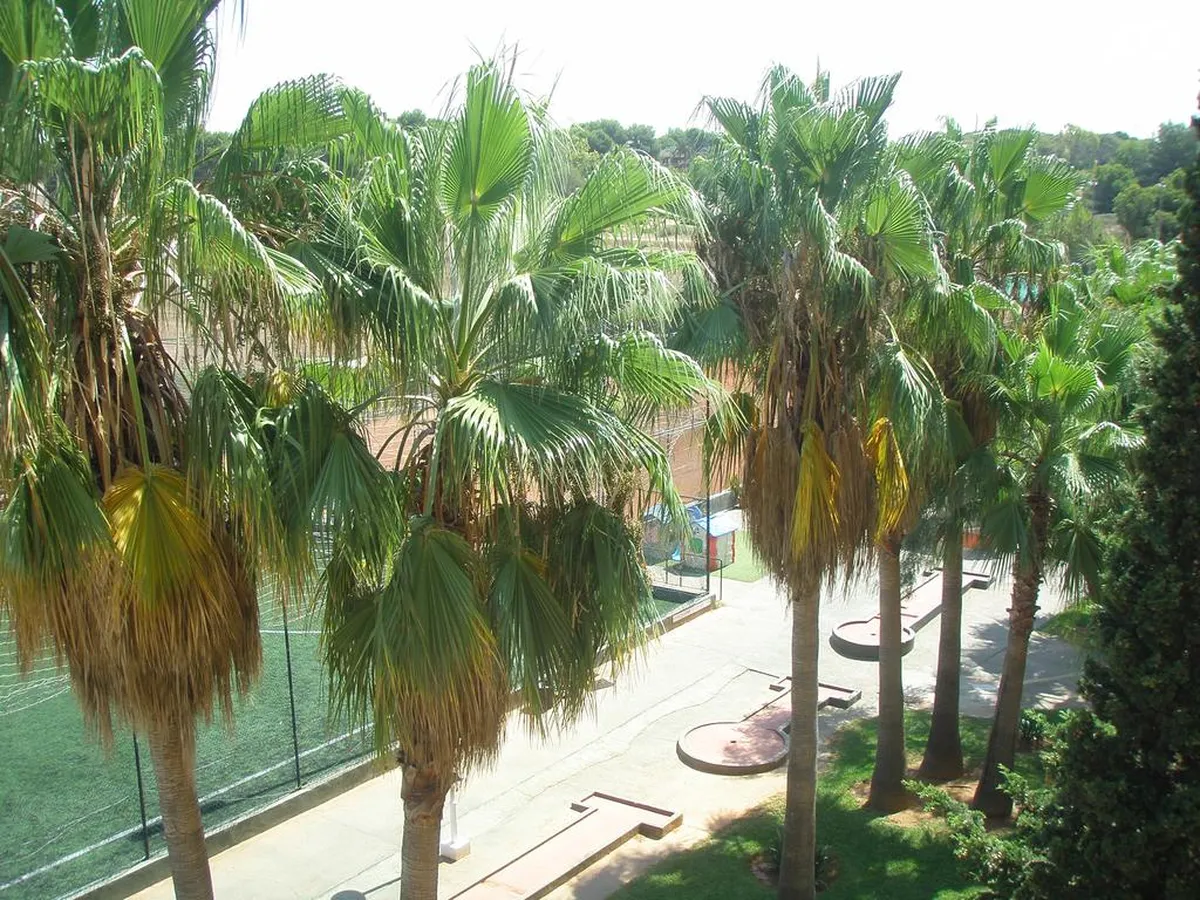 Don Miguel Playa