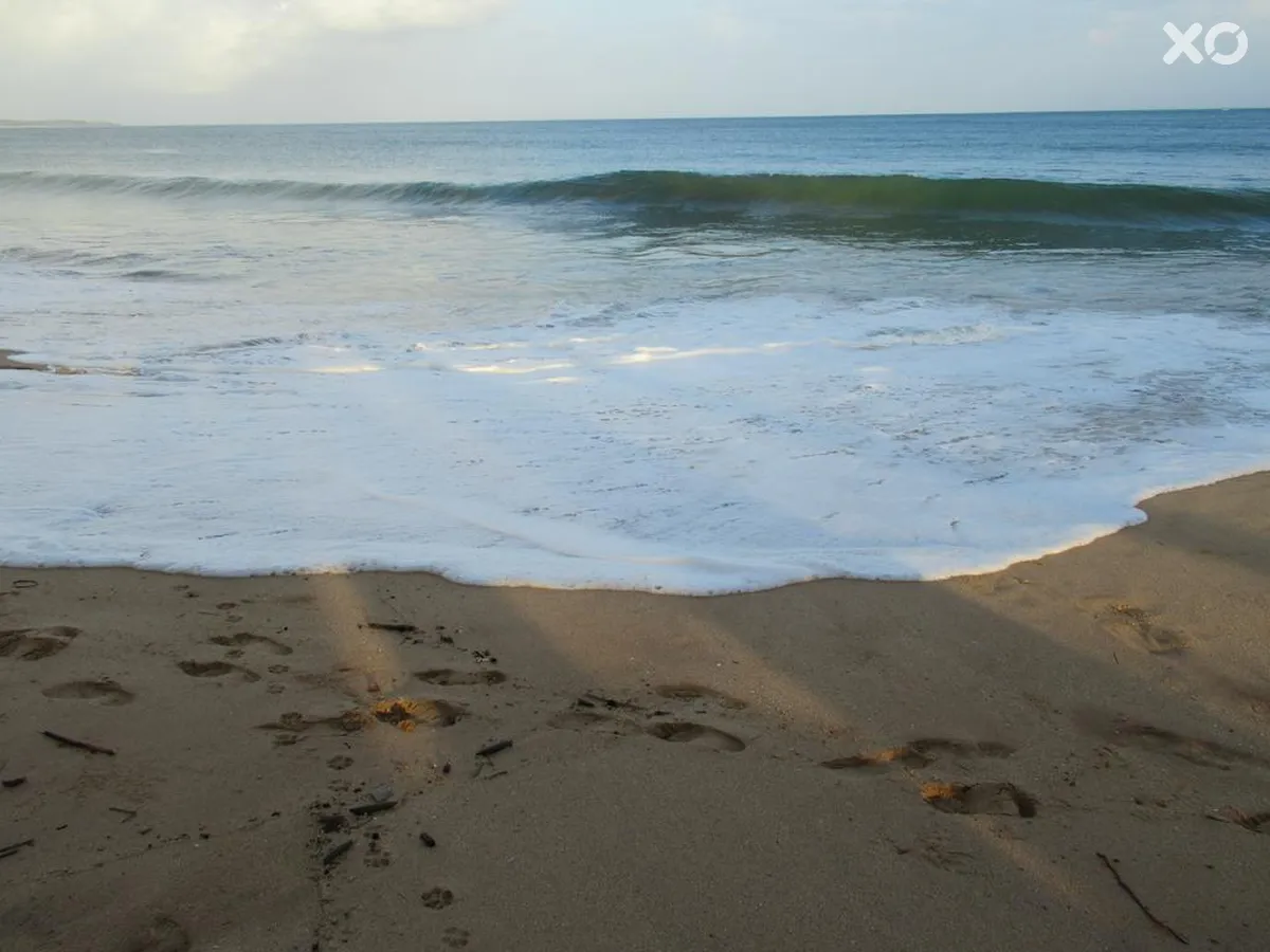 Ceylon Sea Hotel & Spa