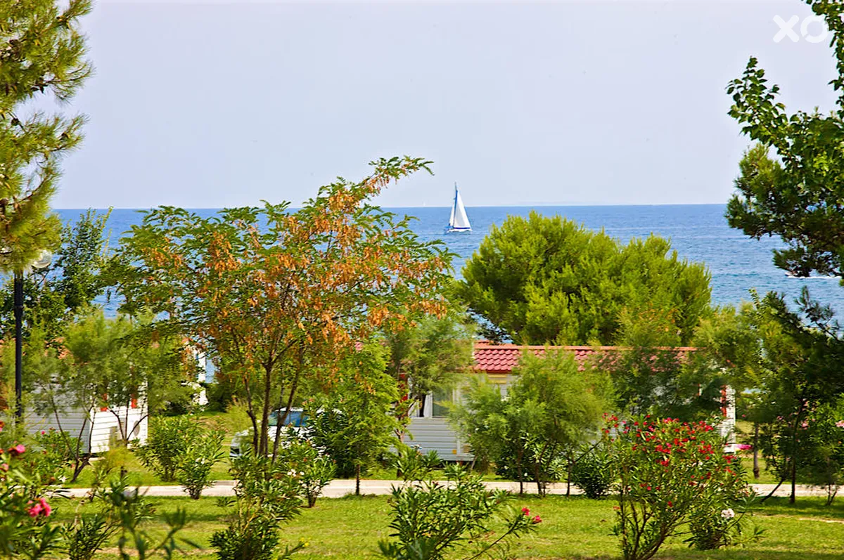 Arena Kazela Camping
