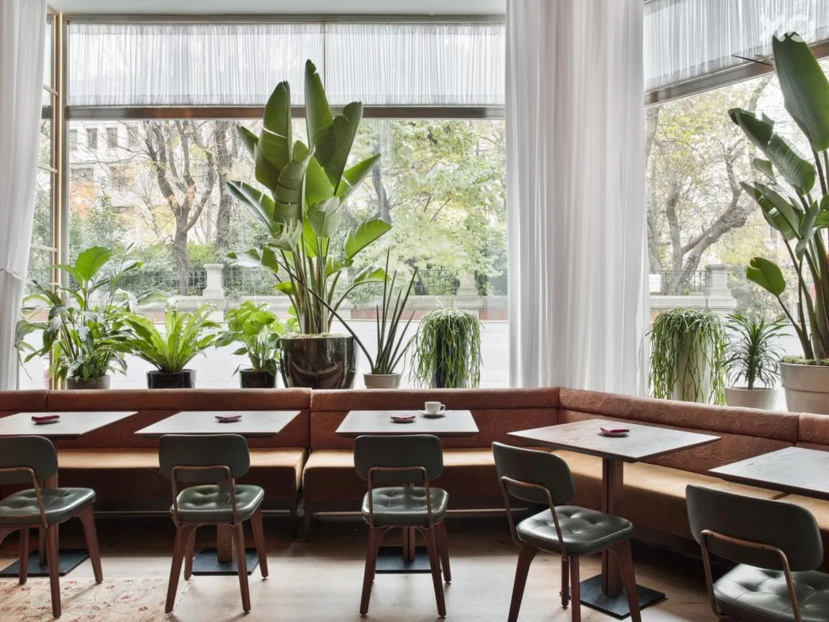 NH Collection Madrid Suecia Hotel