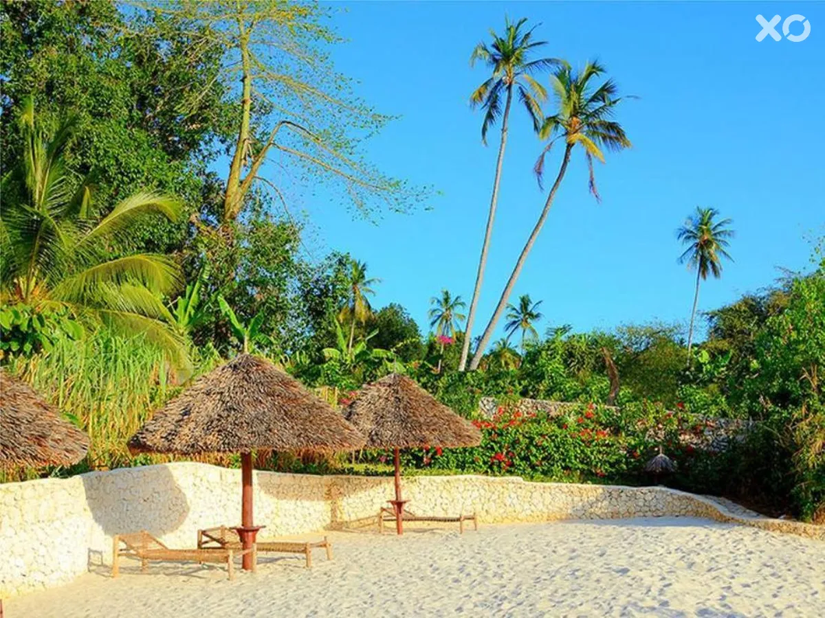 Zanzi Resort