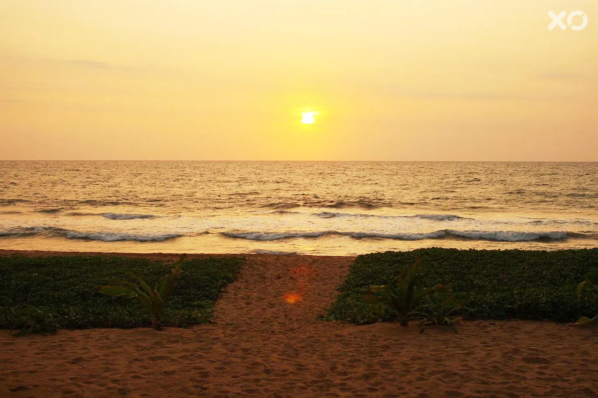 Temple Tree Resort & Spa