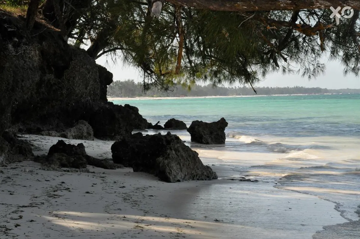 Marafiki Bungalows Zanzibar
