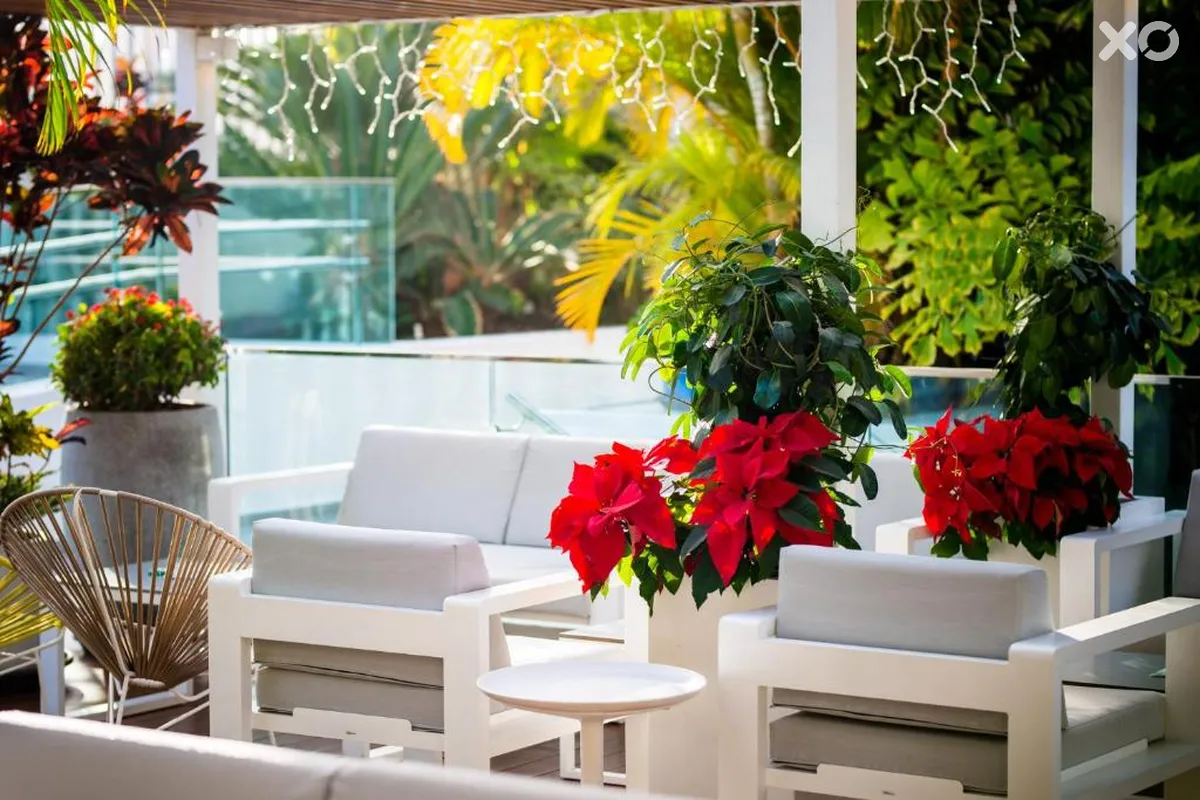Vanilla Garden Boutique Hotel