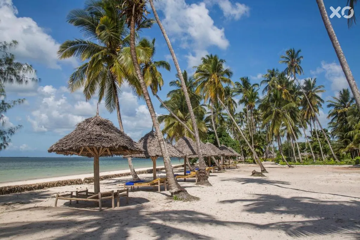 Antonio Beach Tree House Hotel & Spa