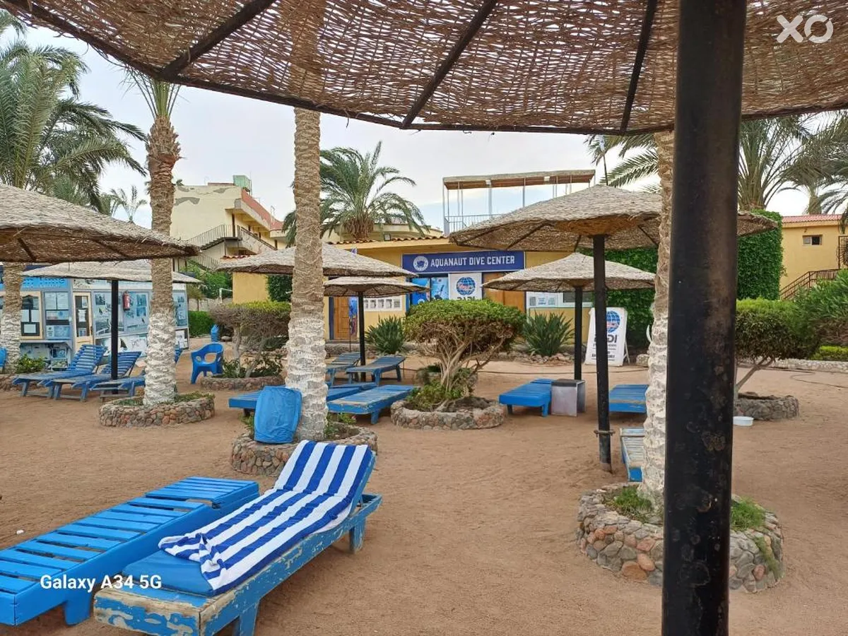 Palm Inn