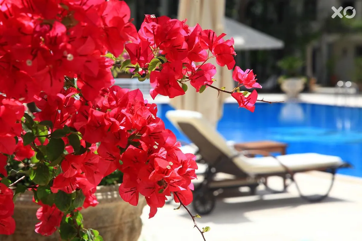 DoubleTree by Hilton Bodrum Marina Vista