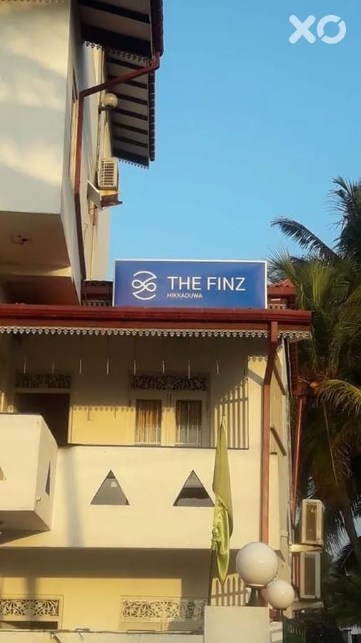 The Finz