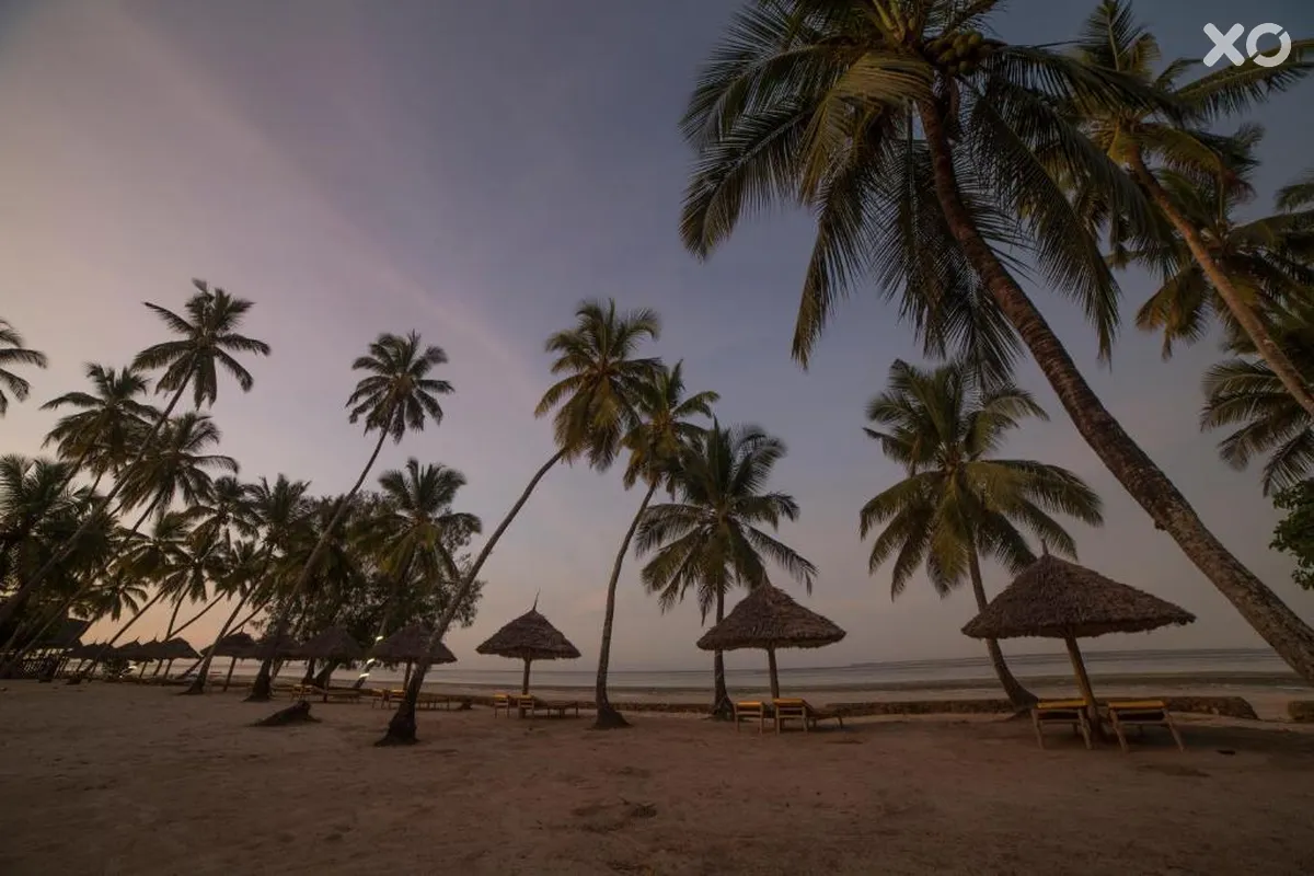 Antonio Beach Tree House Hotel & Spa