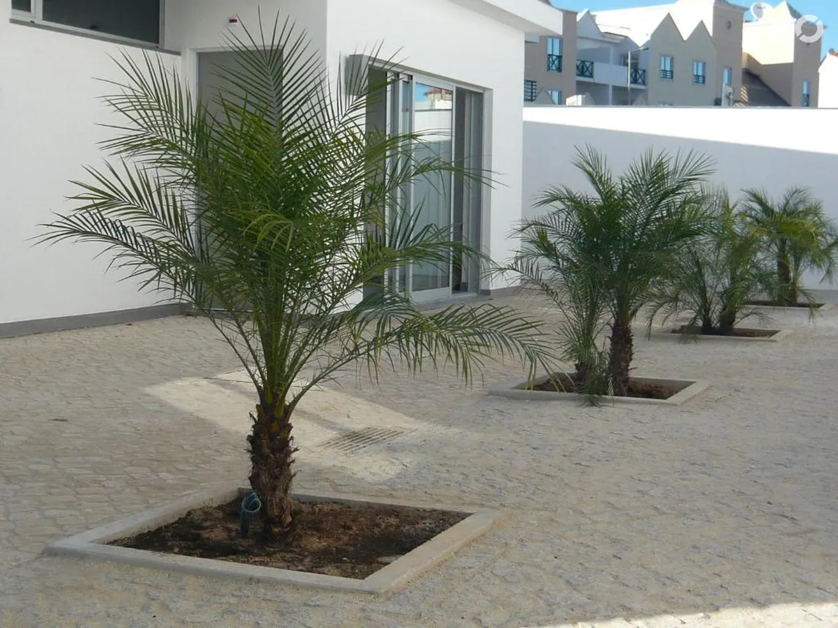 KR Hotels Albufeira Lounge