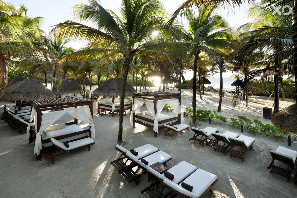 TRS Yucatan Hotel