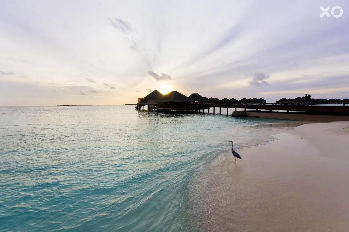 Adaaran Prestige Water Villas