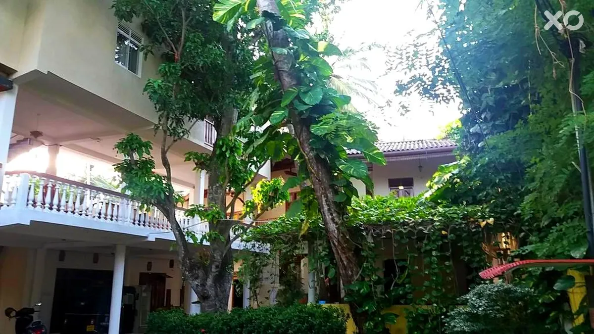 Sea Breeze Guesthouse