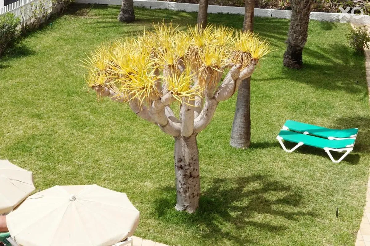Ecuador Apartments