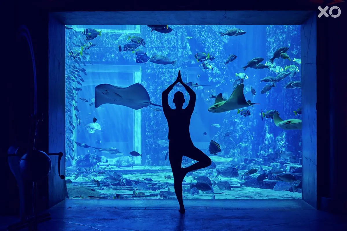 Atlantis The Palm