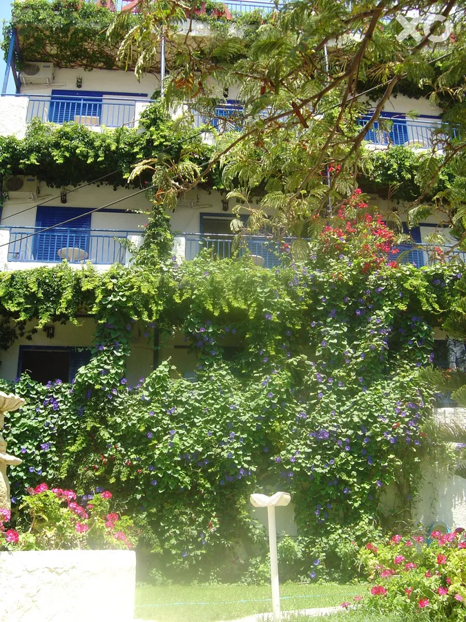 Amazona Apartments