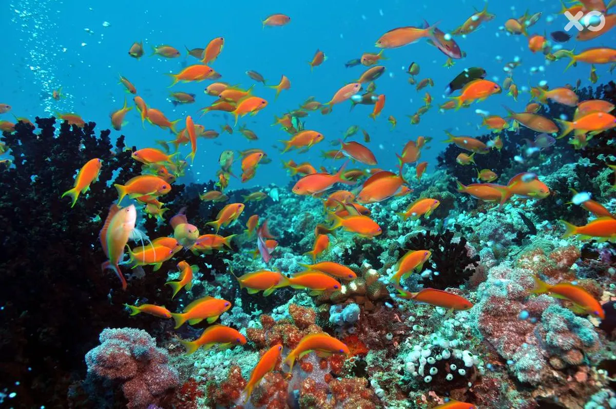 Dhigali Maldives