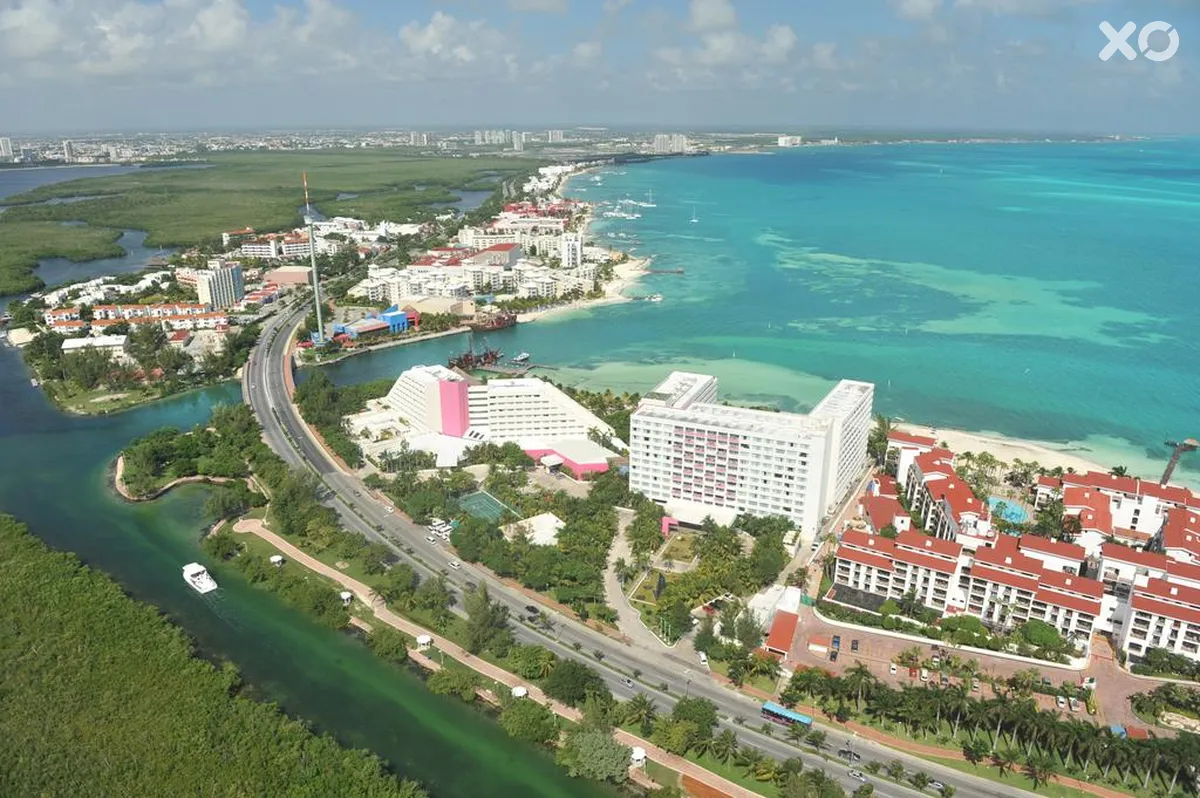Grand Oasis Palm