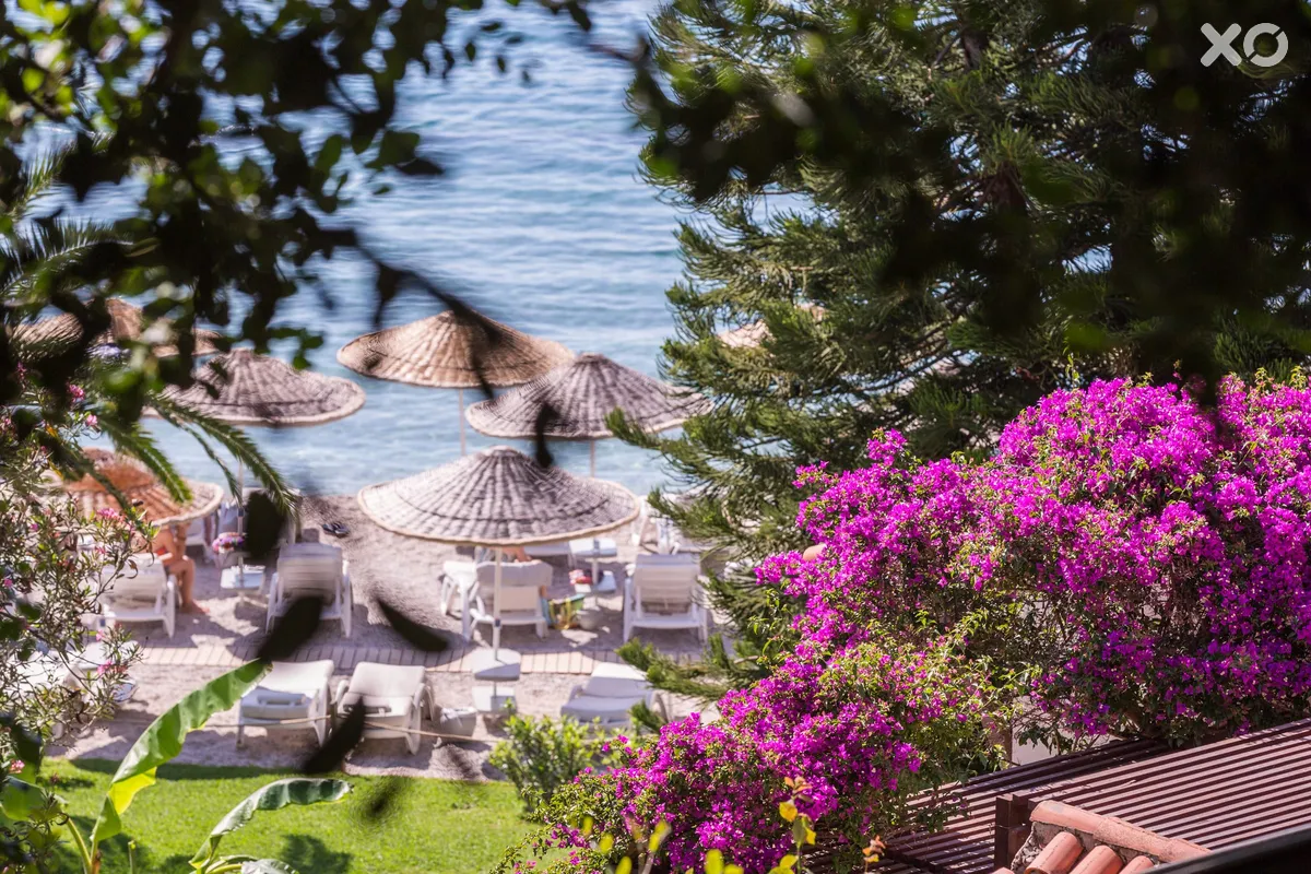 Hillside Beach Club