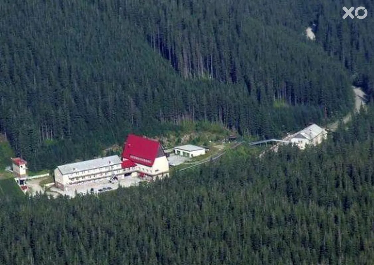 Заросляк