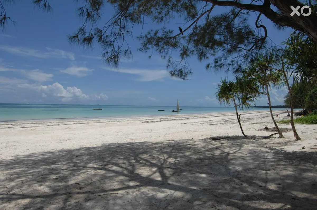 Kiwengwa Bungalow Boutique Resort