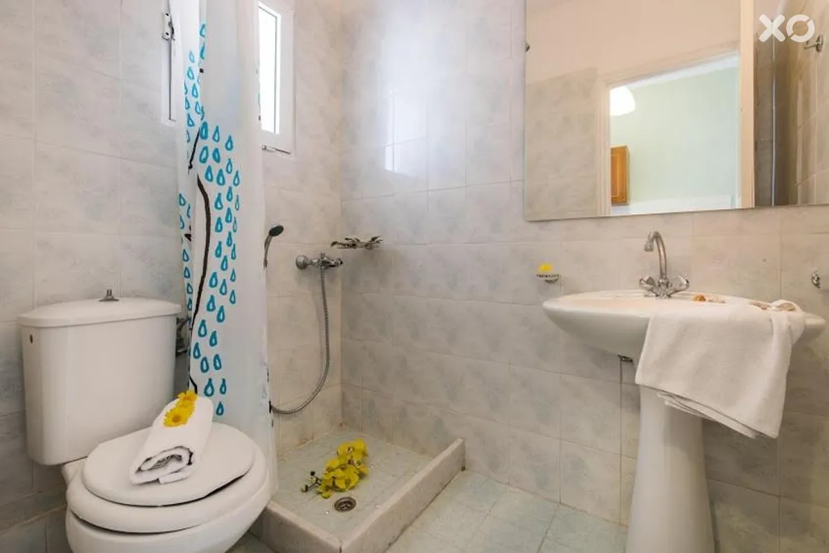 Plessas Palace