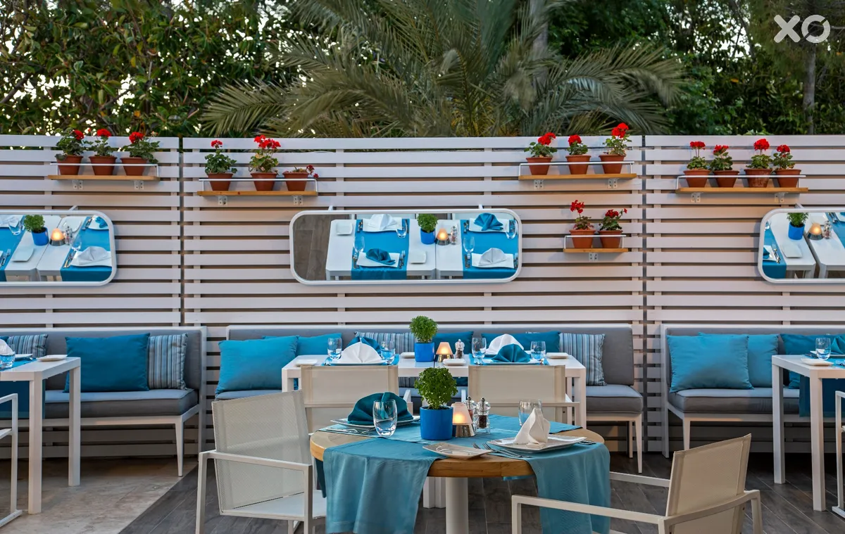 Acanthus Cennet Barut Collection