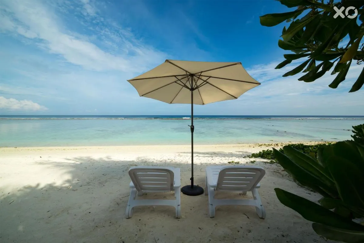 White Harp Beach