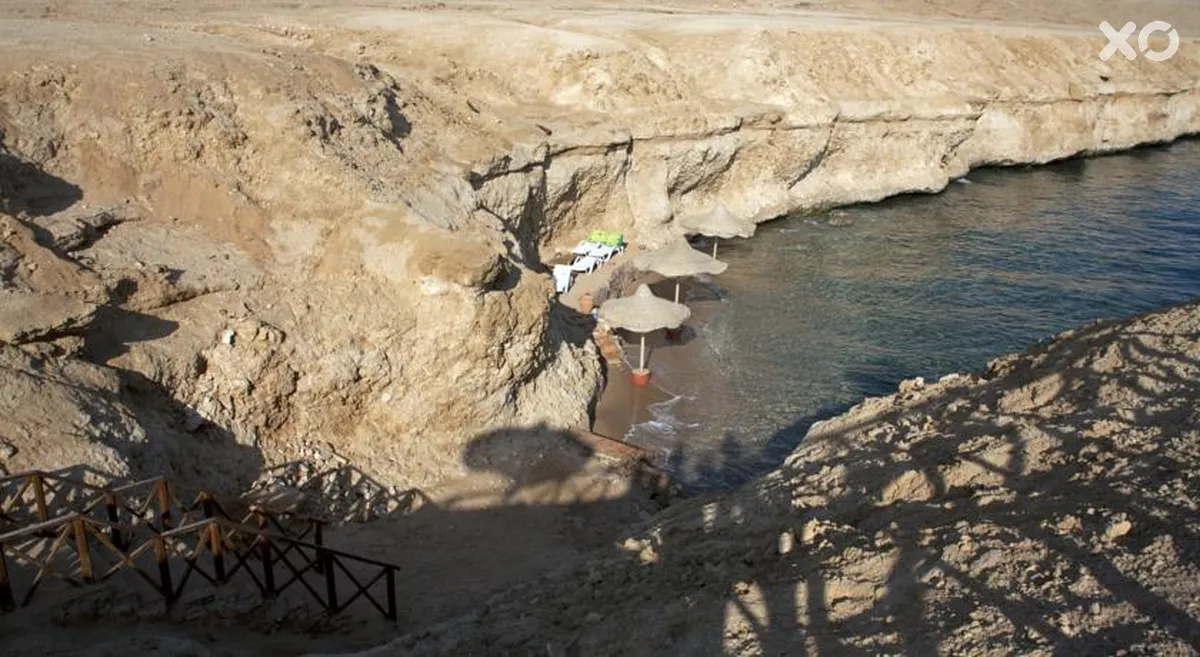 Club Reef
