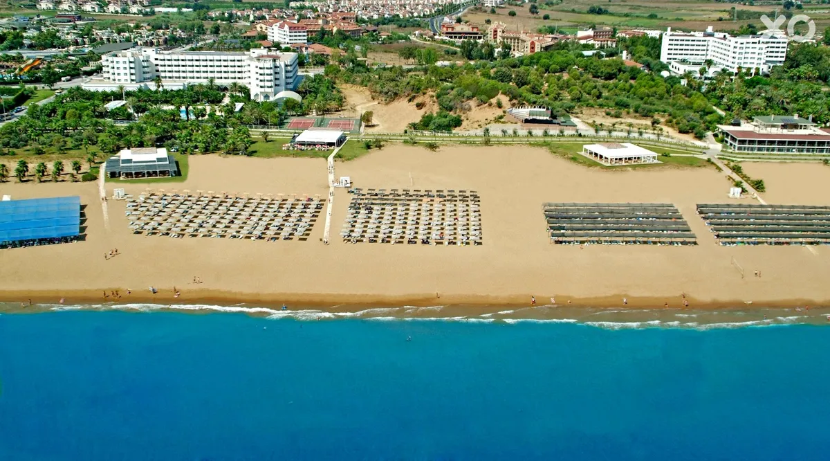 Sural Saray