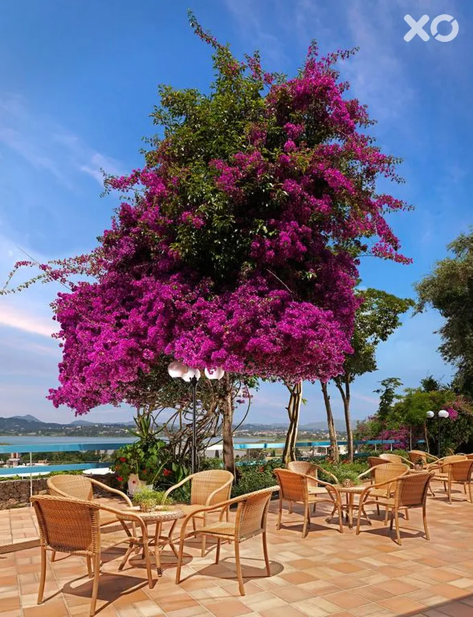 Divani Corfu Palace