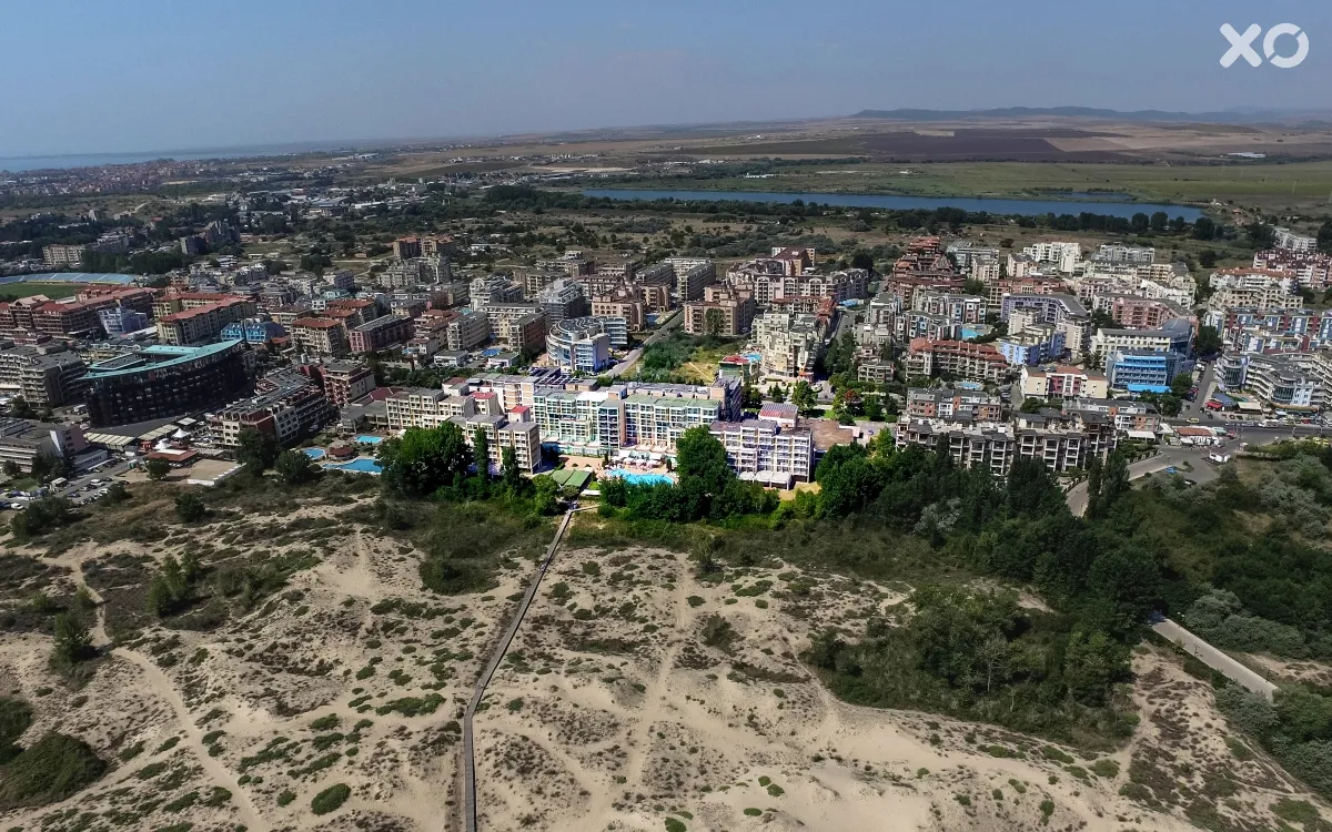Дельфін
