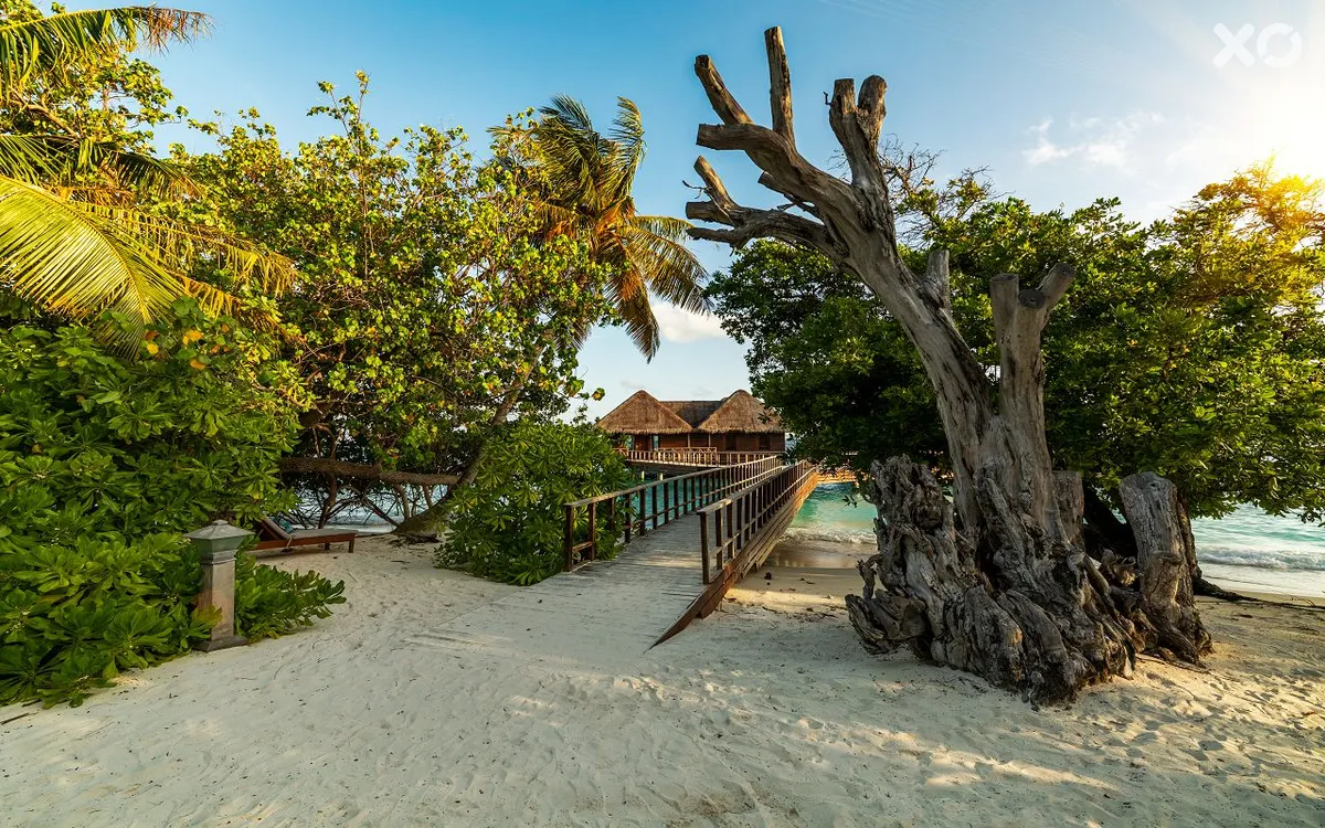 Bandos Maldives