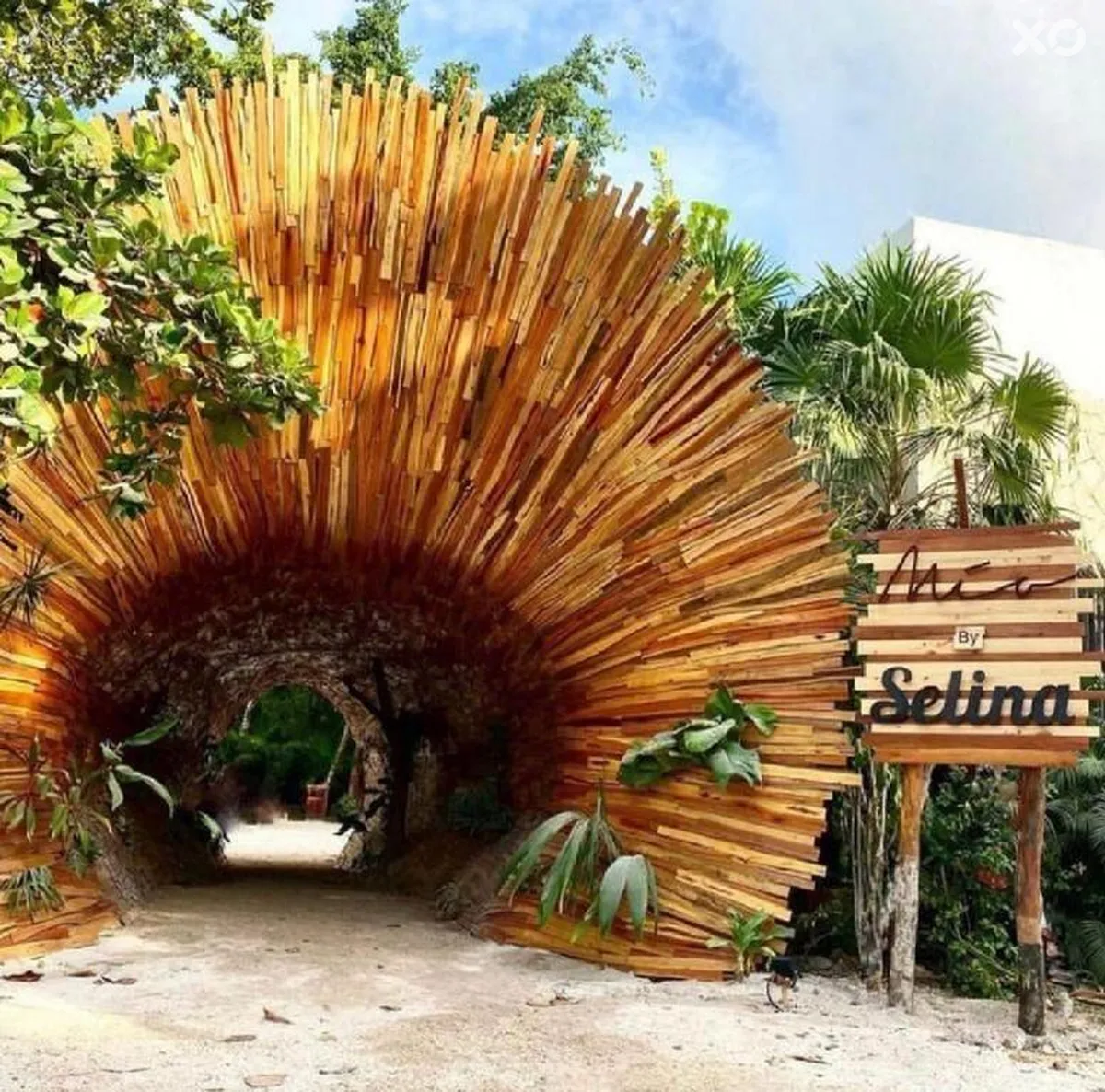 Selina Los Lirios Tulum