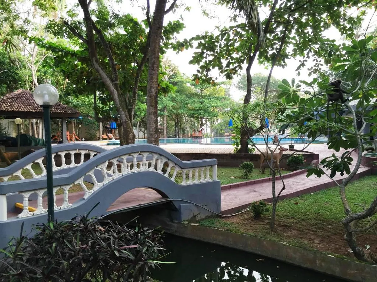 Siddhalepa Ayurveda Health Resort