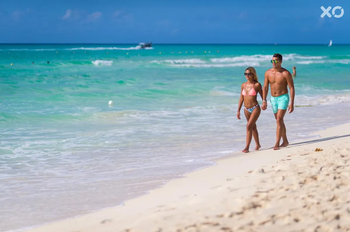 The Reef Playacar