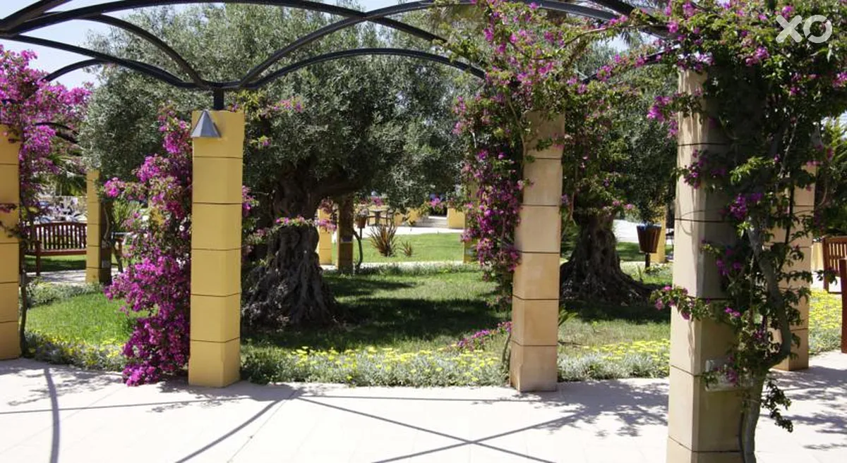 Cala Millor Garden