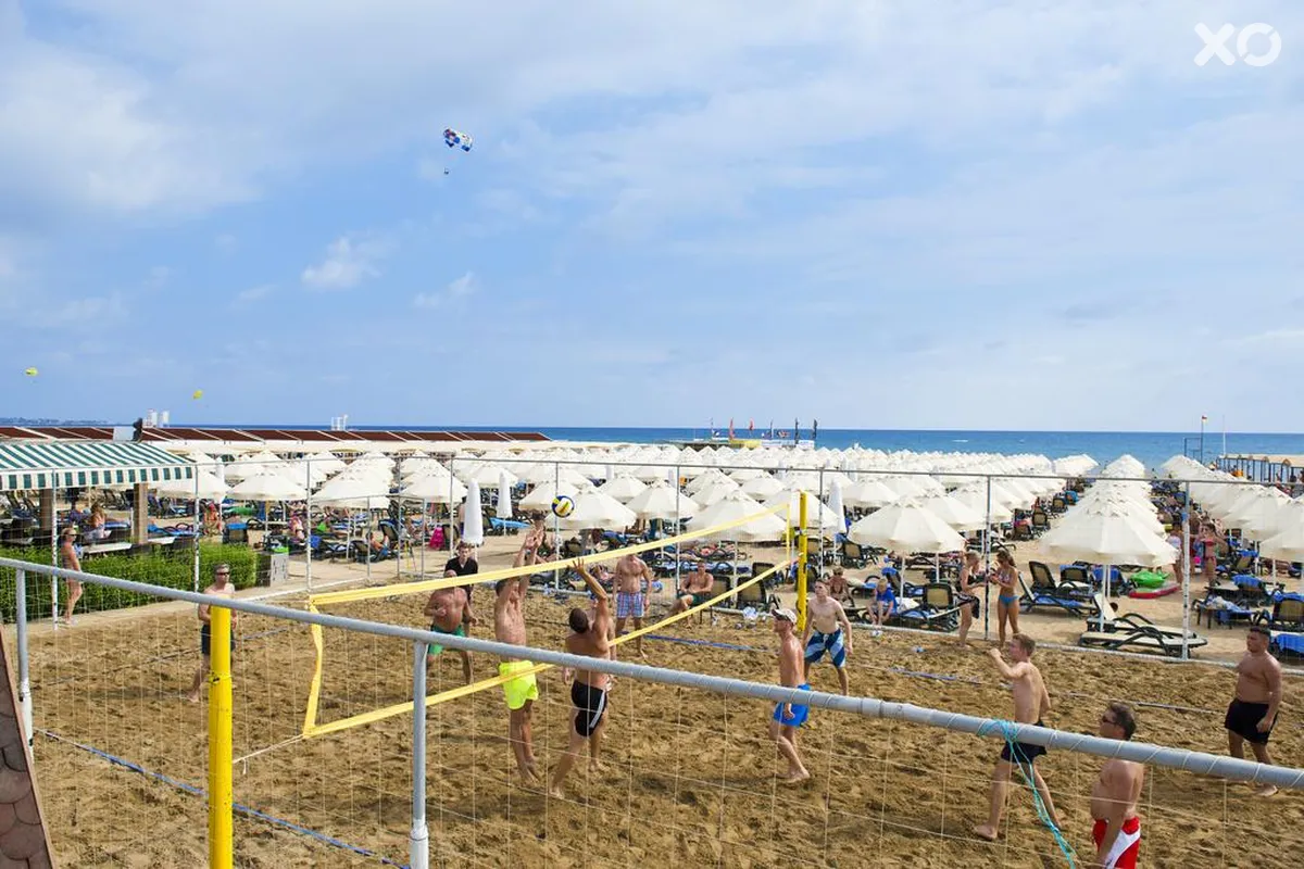 Trendy Verbena Beach