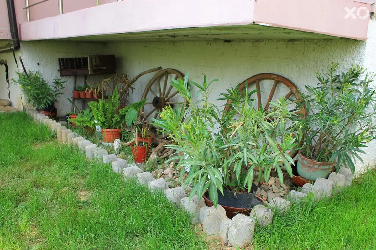 Bordo Guest House