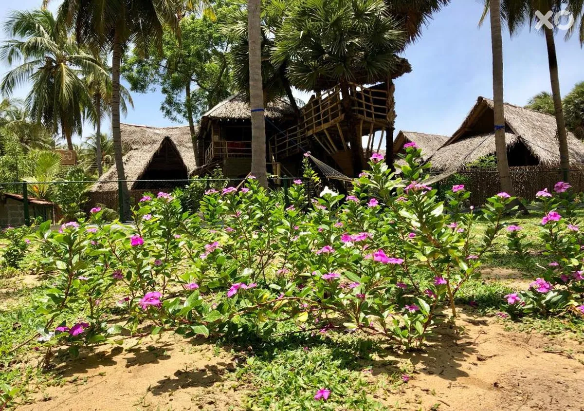 Wind Blend Kite & Yoga Eco Resort