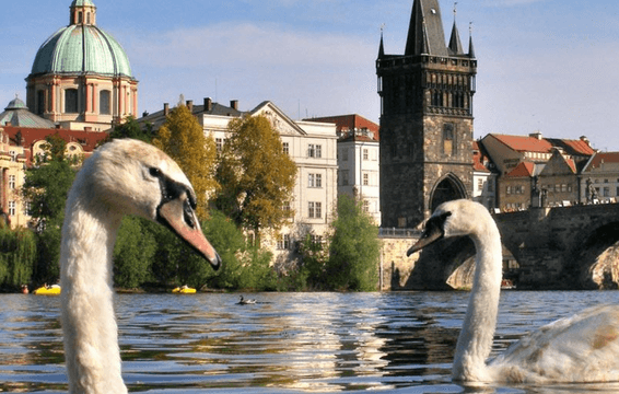 Чехія для неквапливих прогулянок і смаку життя! Прага, Карлові Вари та термальний комплекс