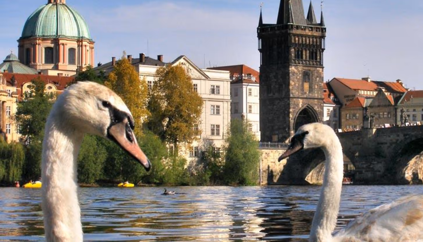 Чехія для неквапливих прогулянок і смаку життя! Прага, Карлові Вари та термальний комплекс