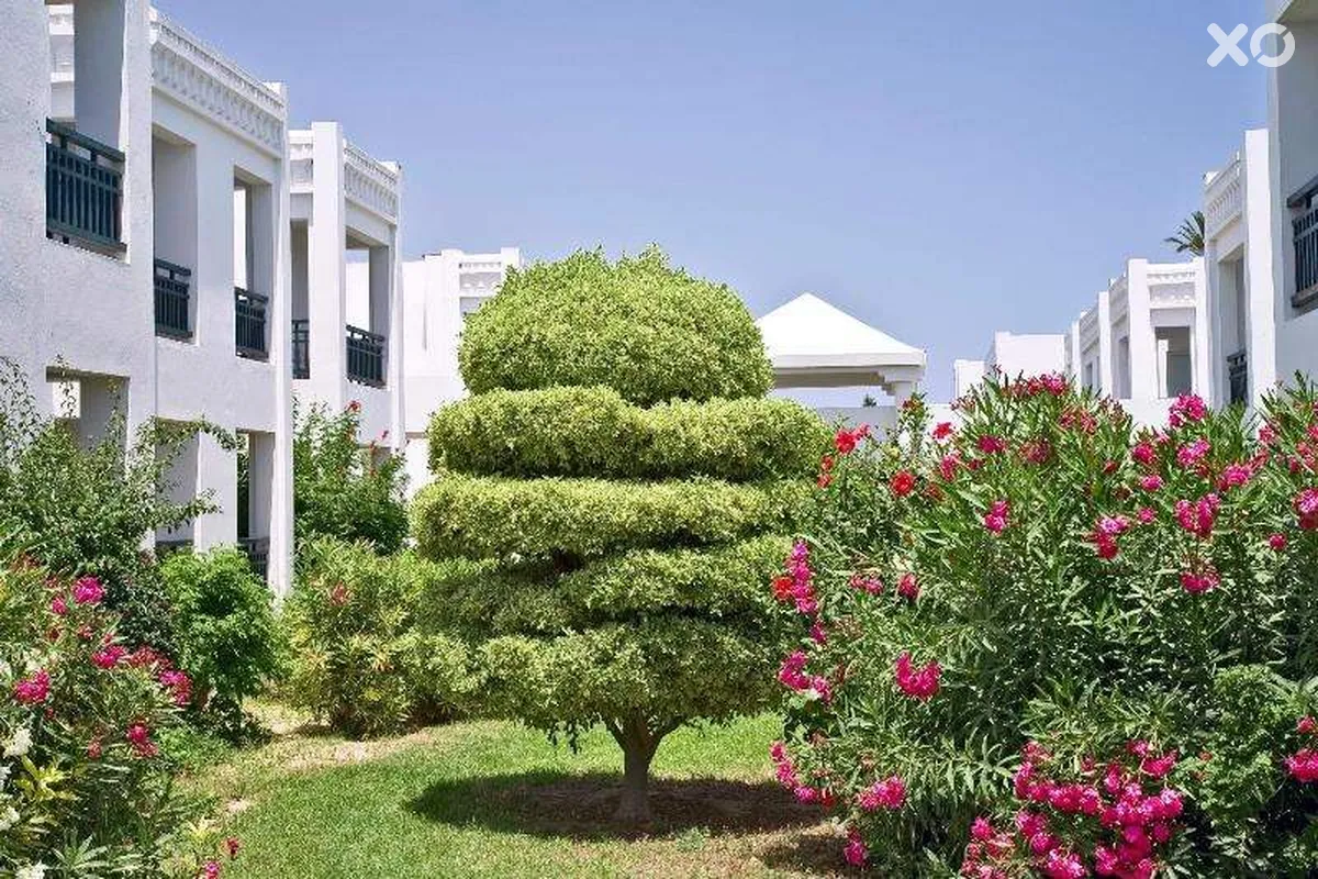 El Borj Hotel