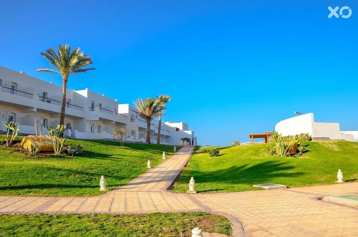 Solymar Reef Marsa