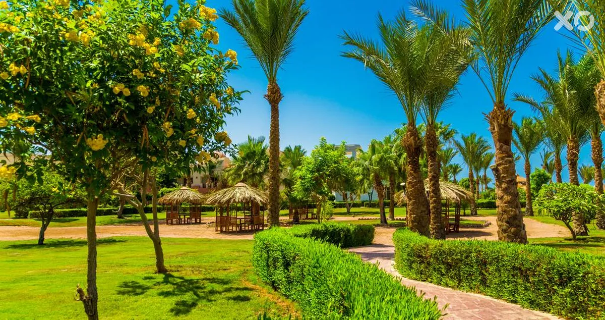 Serenity Makadi Beach