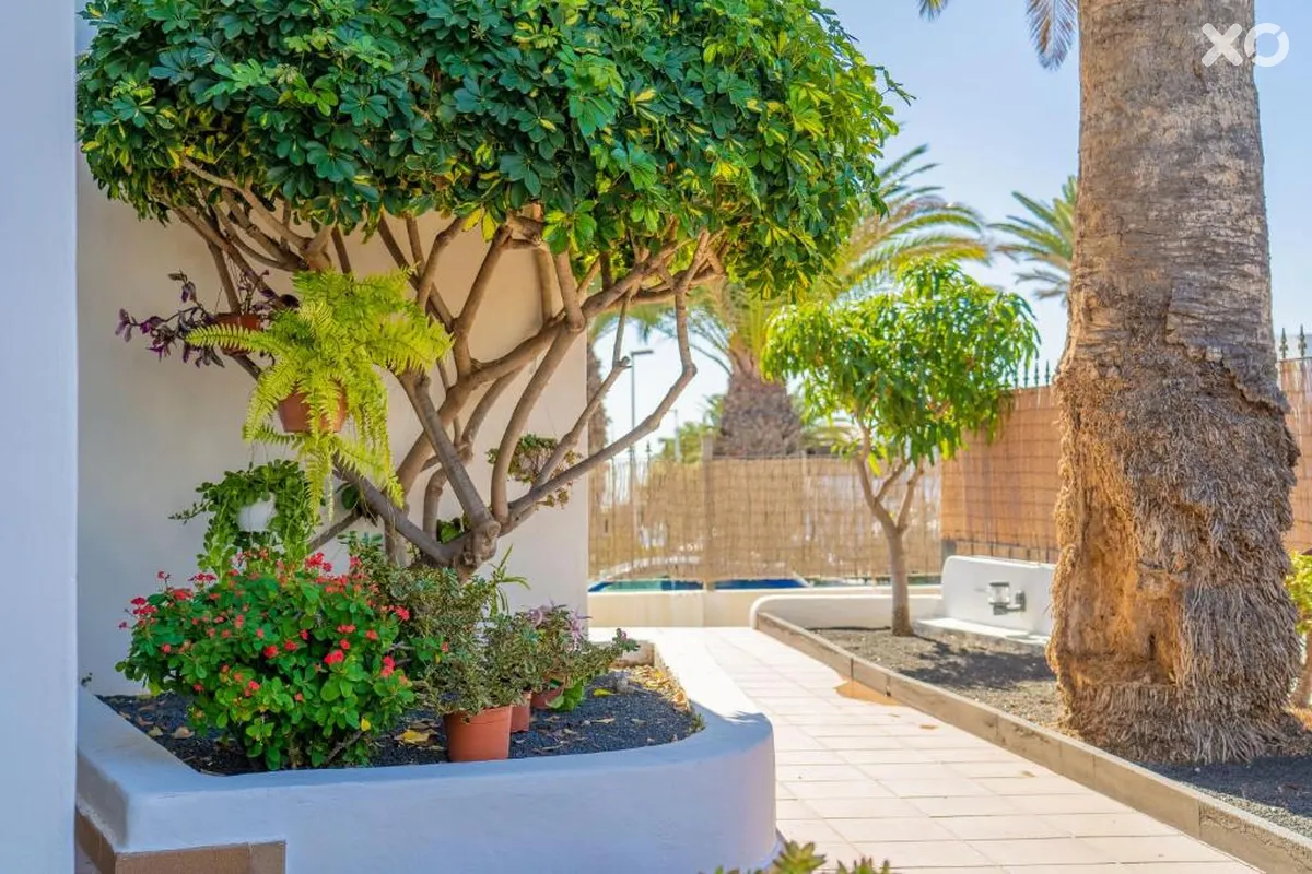 Isla De Lobos Apartments