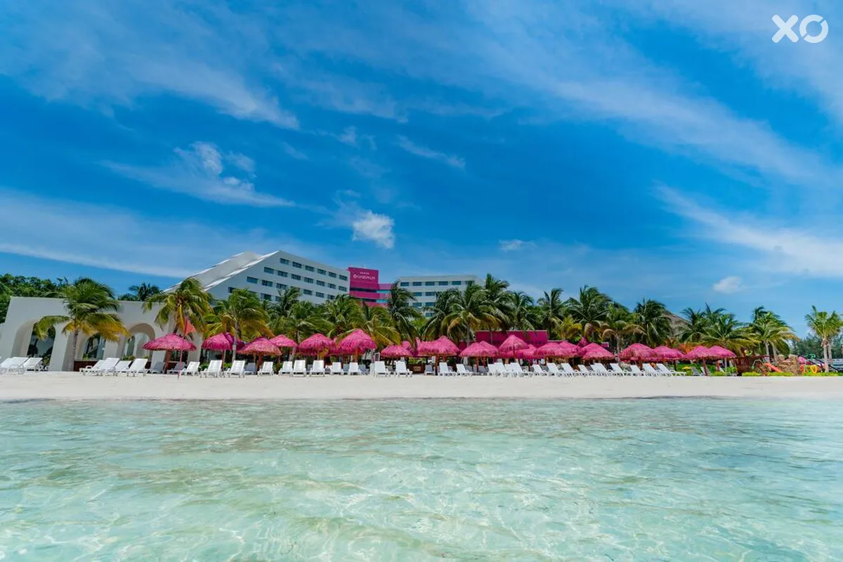 Grand Oasis Palm