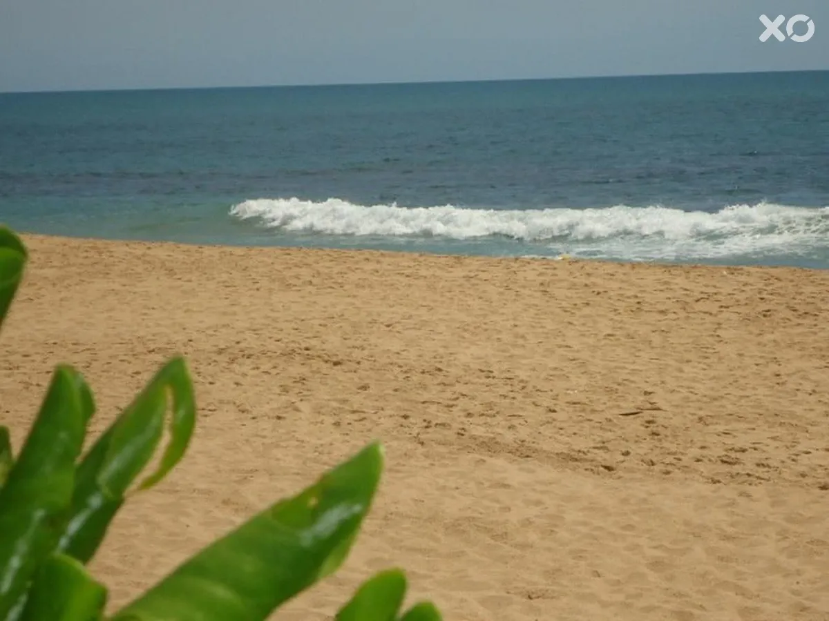 Ceylon Sea Hotel & Spa