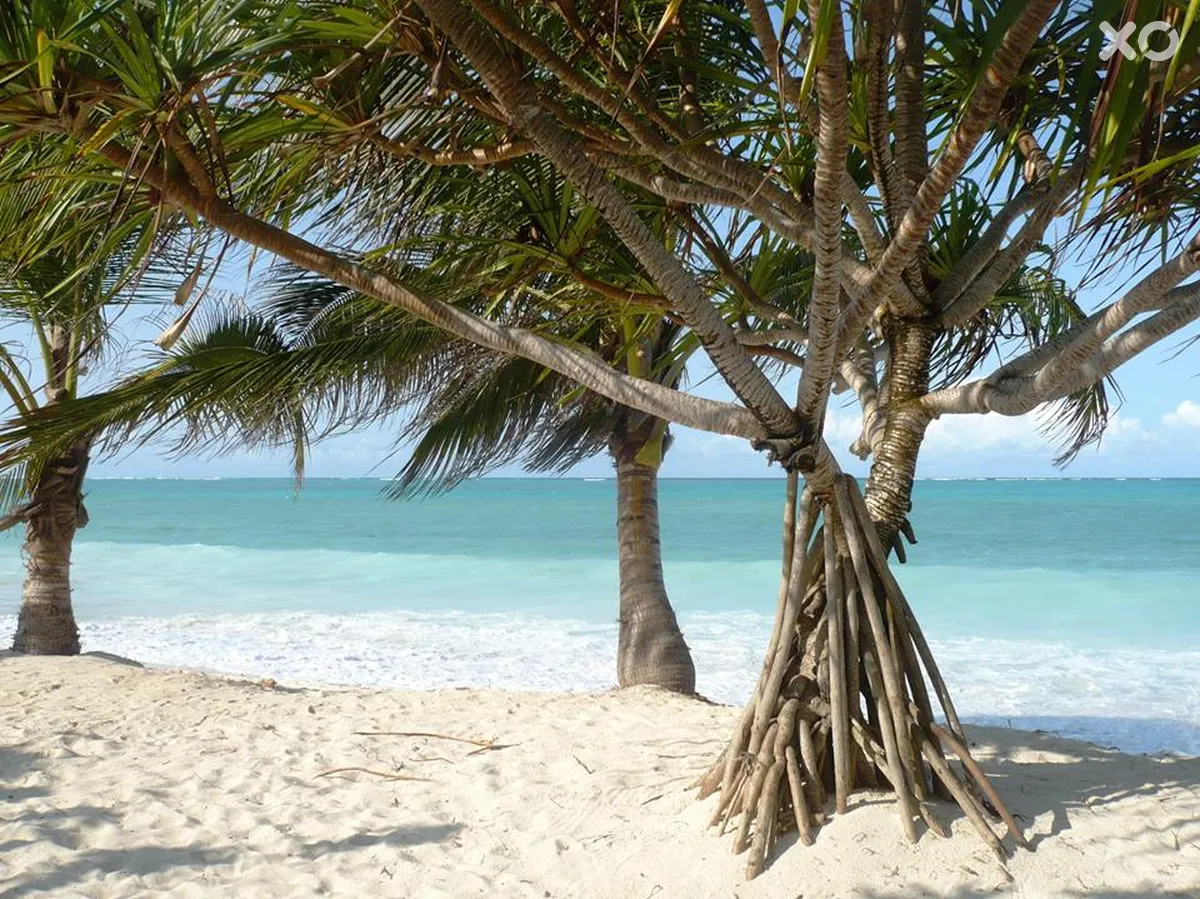 Zanbluu Beach Hotel